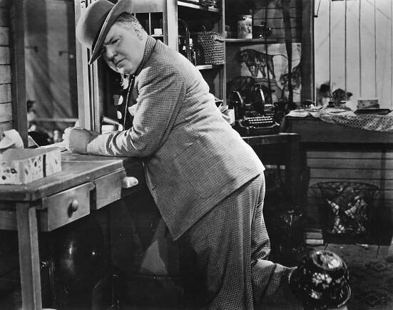 You Can't Cheat an Honest Man - Z filmu - W.C. Fields