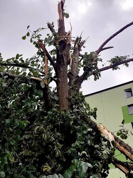 VIDEO: Bouře se ve čtvrtek prohnala Luhačovicemi, místní mluví o tornádu