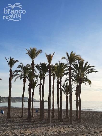 Apartment in Villajoyosa with sea view. - Costa Blanca North | Branco Reality