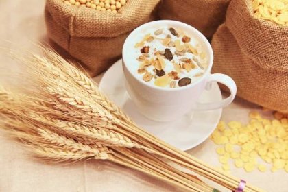 Co je to špalda a jaký je rozdíl oproti klasické pšenici?