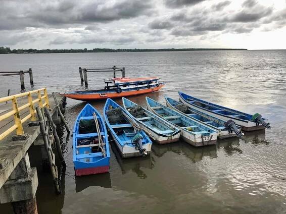 Suriname - Travel Timm