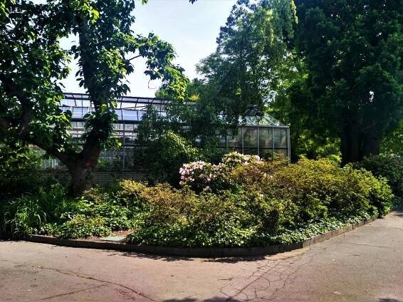 Botanická zahrada na pražském Albertově: Původně sídlila na Smíchově. Proč ji přestěhovali?