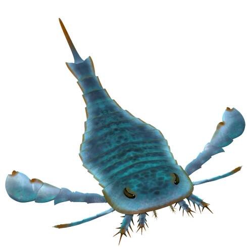 File:Eurypterus Paleoart (no background).png - Wikimedia Commons