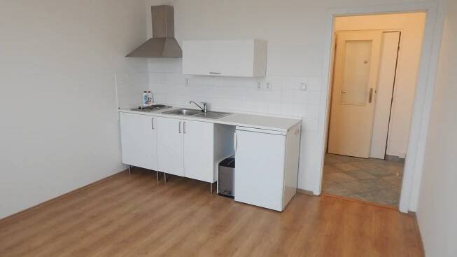 Pronájem Plzeň Skupova - byt 0+1, 20 m2 - pronajembytuplzen.cz