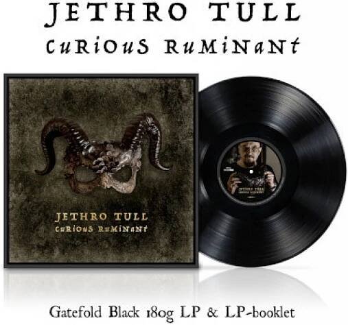 Jethro Tull Curious Ruminant LP