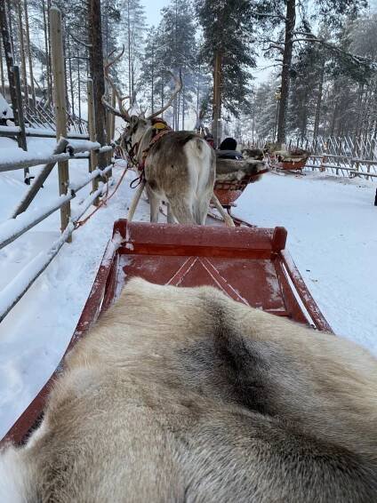 Santa Claus Reindeer