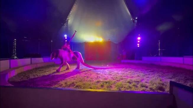 Cirkus Berosini Show Heřmanův Městec 2023