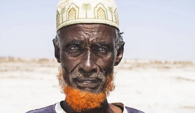 The Eritrea Project