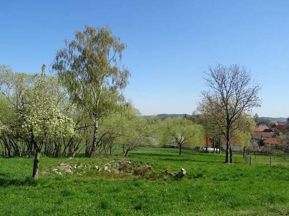 Zahrada