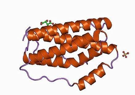 1alu: HUMAN INTERLEUKIN-6