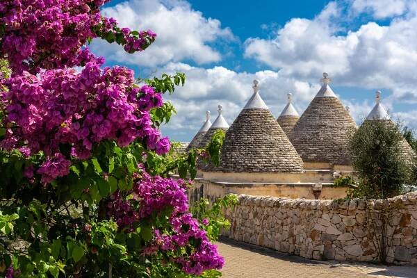 trulli domy v regionu apulie v itálii a růžové bougainvillea květiny - ostuni - stock snímky, obrázky a fotky