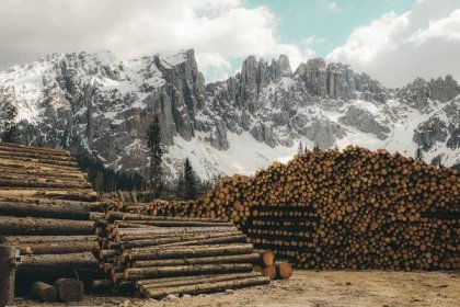97,000+ Lumber Mill Pictures