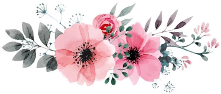 White background flowers