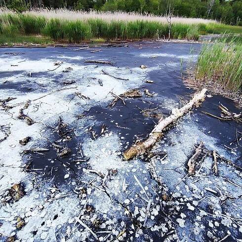Národní přírodní rezervaci Soos obdivovali fotografové z fotoklubu Pohoda z Mariánských Lázní. Foto:Jiří Voneš