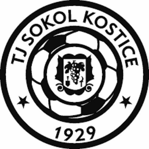 Sokol Kostice