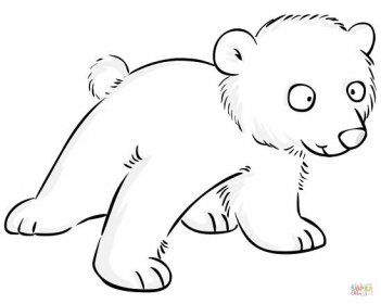Roztomilé mládě ledního medvěda omalovánka | Omalovánky k Vytisknutí Zdarma