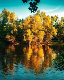 jezera, podzimní sezóna, října, reflexe, voda, zlatá záře, krajina, parku, les, podzim