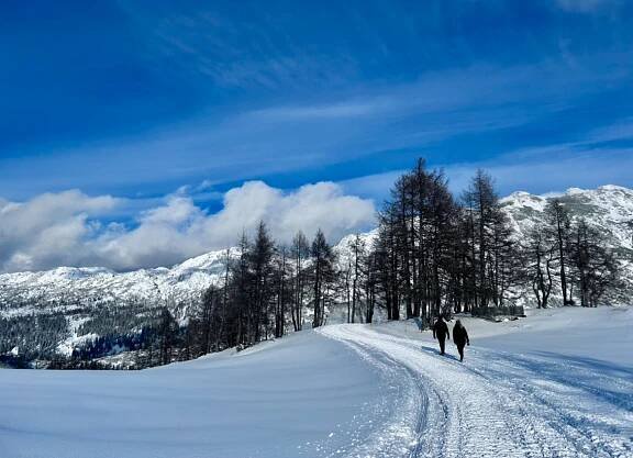 Tauplitzalm