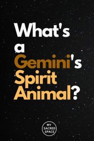Spirit Animal For Gemini - My Sacred Space Design