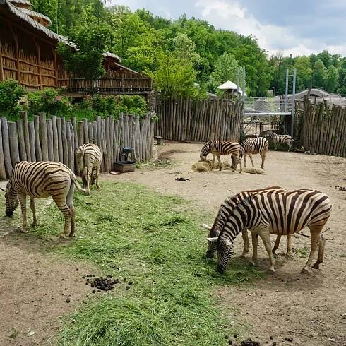 ZOO Jihlava | Slevomat.cz