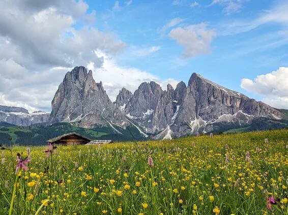 Frühling auf der Seiser Alm - Seiser Alm - Dolomiten, Südtirol