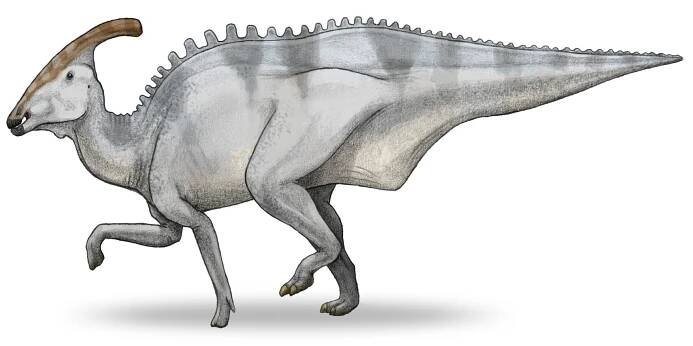 Představuje se Charonosaurus