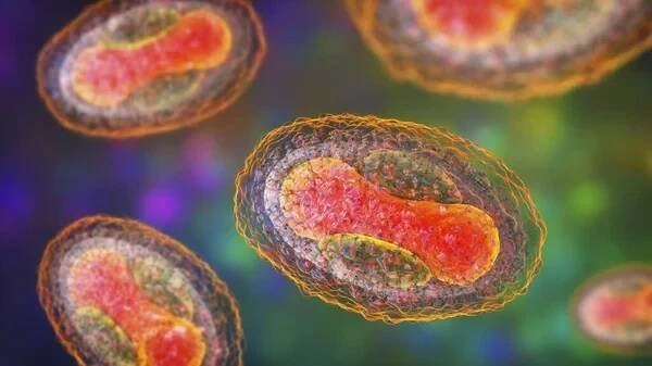 Molluscum contagiosum virus, 3D ilustrace. Virus z rodiny Poxvirus, způsobuje kožní infekci s mnoha malými zvýšenými lézemi — Stock obrázek