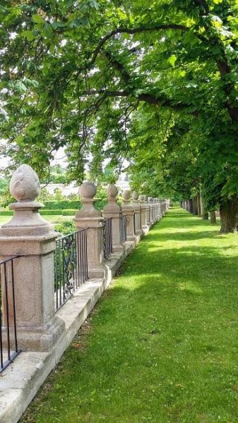 Jírovcová alej u zámku Dobříš - akce, info, počasí, fotografie