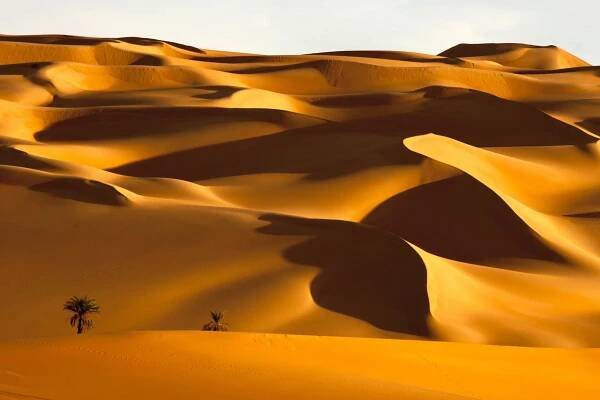 Afrika - Sahara - Z filmu