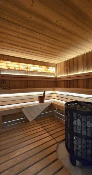 Ubytování Pozďatín, Wellness Chata Dája - Vysočina chata, 21026