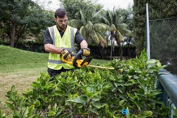 DeWALT DCM563PB