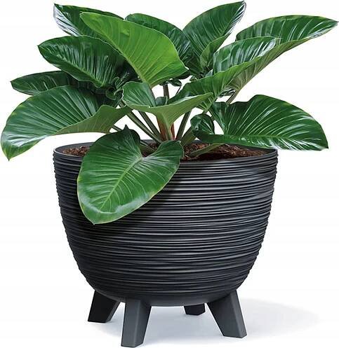 Prosperplast Furu DFUR400 39,5 cm