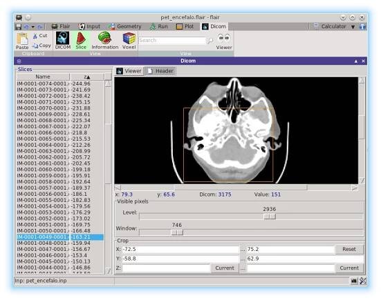 flair - FLUKA Advanced Interface