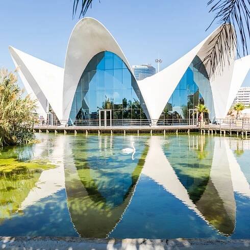 Valencia: Kombinace Oceanogràfic a vědeckého muzea | GetYourGuide