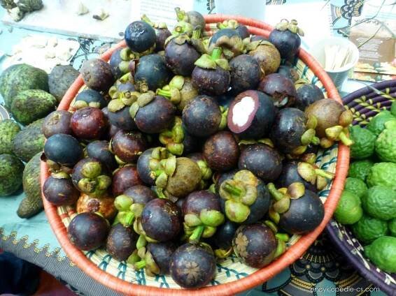 Mangostana lahodná (Garcinia mangostana)