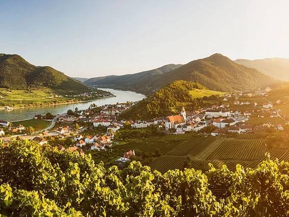 Sonnenuntergang in Spitz in der Wachau genießen