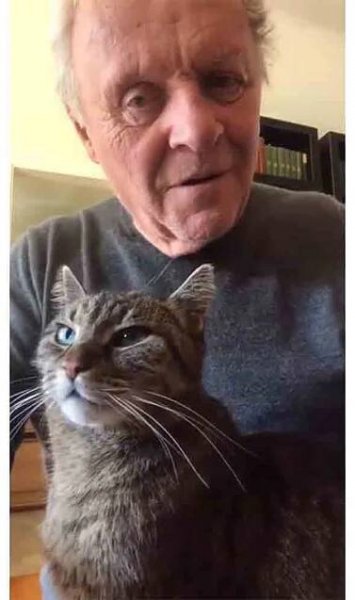 Anthony Hopkins Plays Piano for His Social-Distancing Cat Buddy Who 'Demands I Entertain Him'