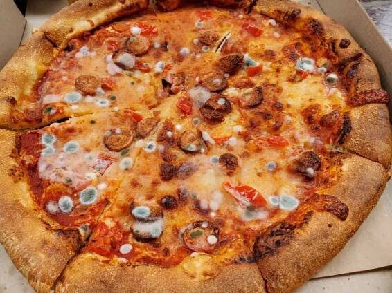 Mould On pizza
