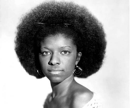 Natalie Cole Biography - Facts, Childhood, Family Life & Achievements of Singer