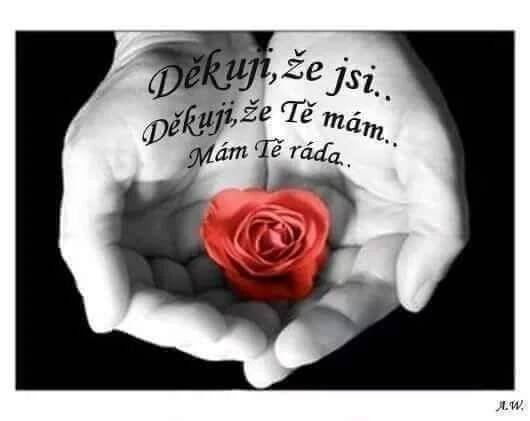 Pin di Dagmar Knotková su pletení