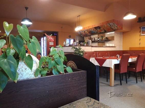 Indická a nepálská restaurace v lázních Teplice