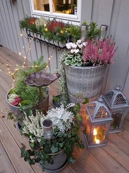 Beautiful Small Garden with Potted Plants and Lanterns