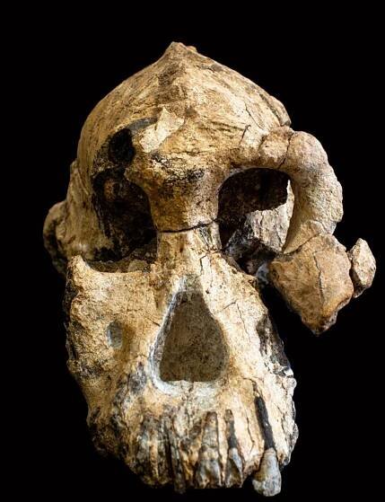 Letter from Ethiopia - Exploring a Forgotten Jewish Land - Archaeology Magazine - January/February 2023