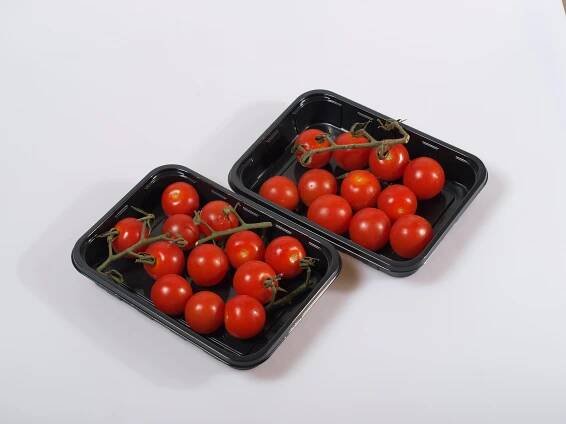 Rajčata cherry kulatá keříková Dulcita, vanička