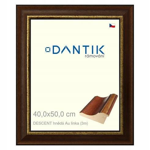 DANTIK rámeček na obraz 40x50 | DESCENT hnědá Au linka (Sklo Čiré)