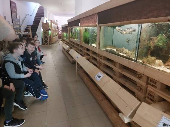 Základní škola Pátova, Česká Lípa, Pátova 406, příspěvková organizace