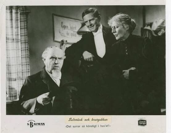Saltstänk och krutgubbar - Fotosky - Sigurd Wallén, John Elfström, Gull Natorp