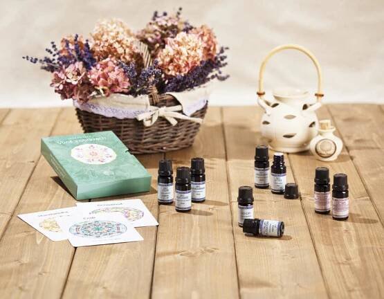 BIO Beauty Studio | Tara Scarlett