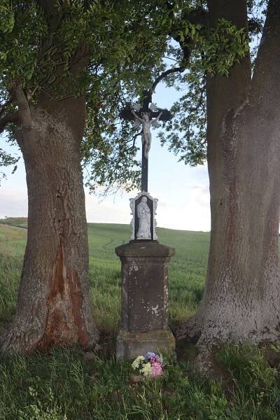 Soubor:Overview of wayside cross near famous trees Dva jasany u Trnavy near Trnava, Třebíč District.jpg – Wikipedie