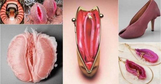 Vagíny sú všade okolo nás: Foto vecí, ktoré vyzerajú ako ženské genitálie